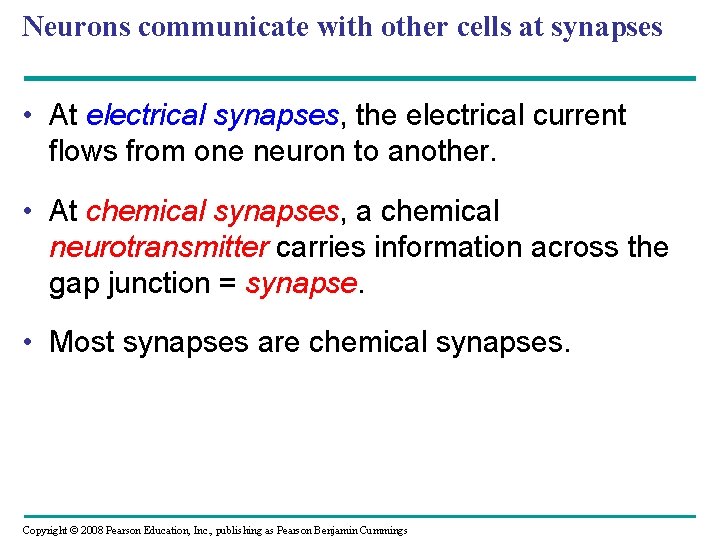 Neurons communicate with other cells at synapses • At electrical synapses, the electrical current