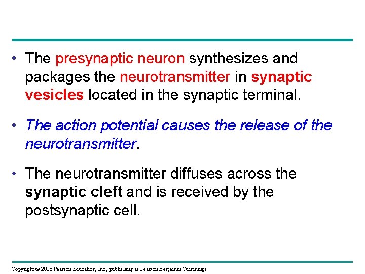  • The presynaptic neuron synthesizes and packages the neurotransmitter in synaptic vesicles located