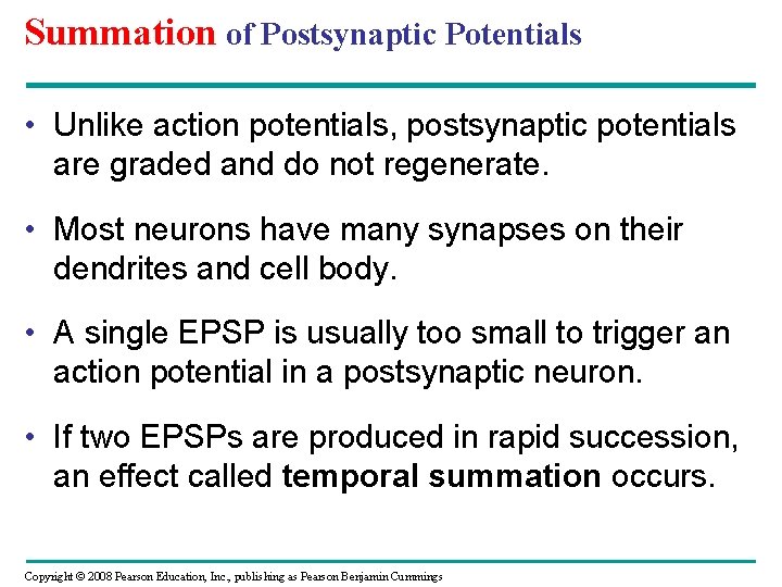 Summation of Postsynaptic Potentials • Unlike action potentials, postsynaptic potentials are graded and do