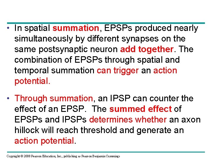  • In spatial summation, EPSPs produced nearly simultaneously by different synapses on the