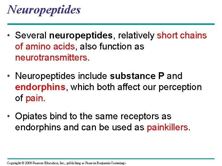 Neuropeptides • Several neuropeptides, relatively short chains of amino acids, also function as neurotransmitters.