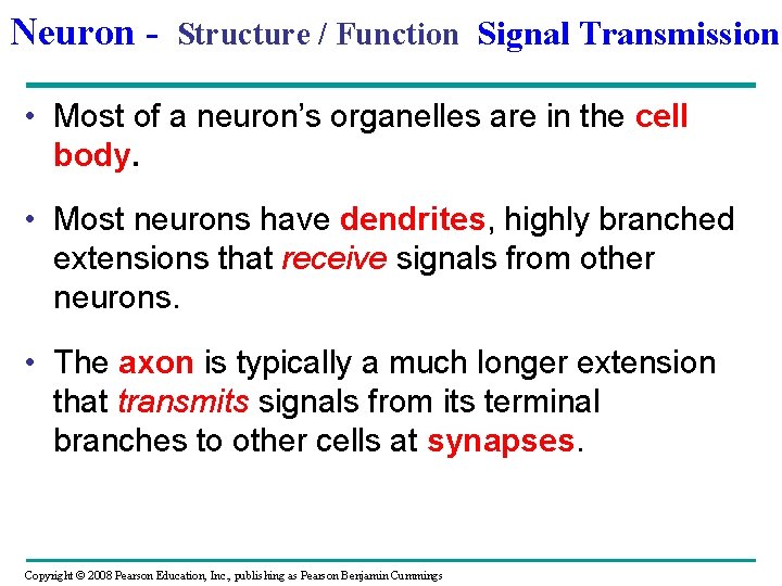 Neuron - Structure / Function Signal Transmission • Most of a neuron’s organelles are