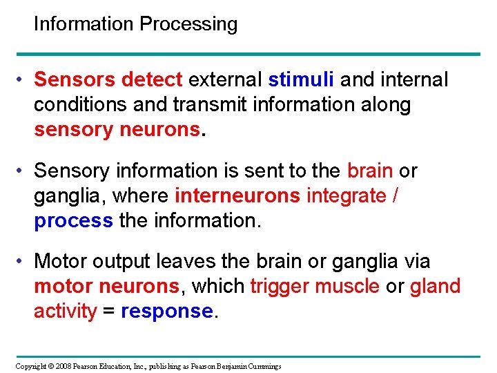 Information Processing • Sensors detect external stimuli and internal conditions and transmit information along