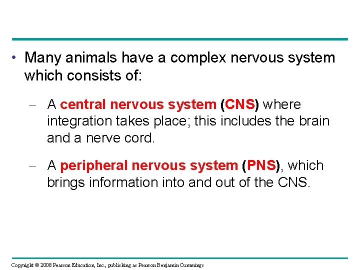  • Many animals have a complex nervous system which consists of: – A