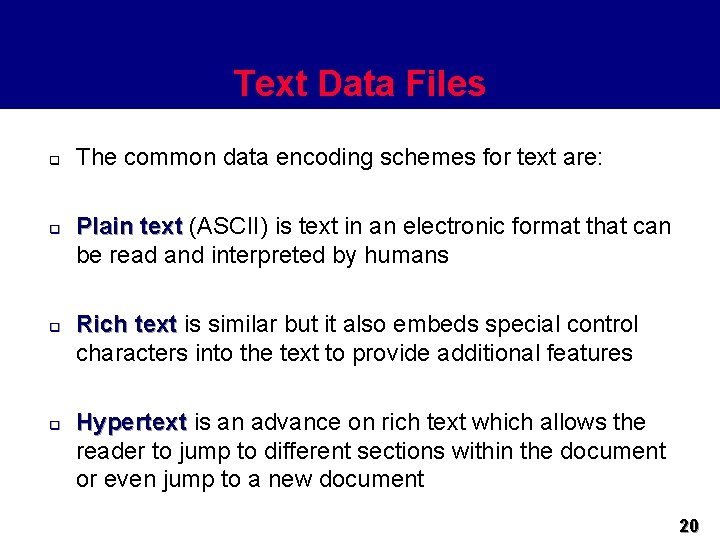 Text Data Files q q The common data encoding schemes for text are: Plain