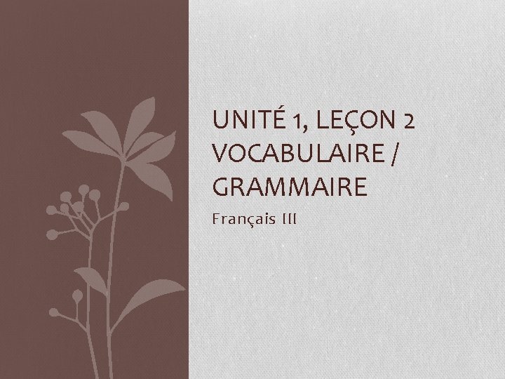 UNITÉ 1, LEÇON 2 VOCABULAIRE / GRAMMAIRE Français III 