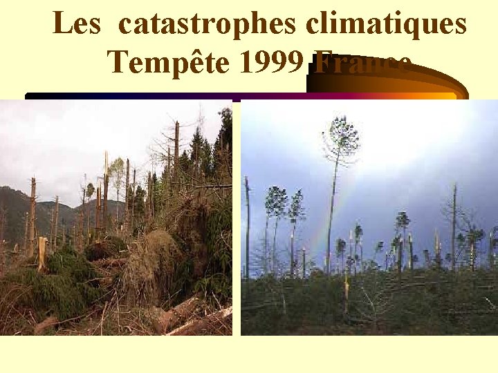 Les catastrophes climatiques Tempête 1999 France 