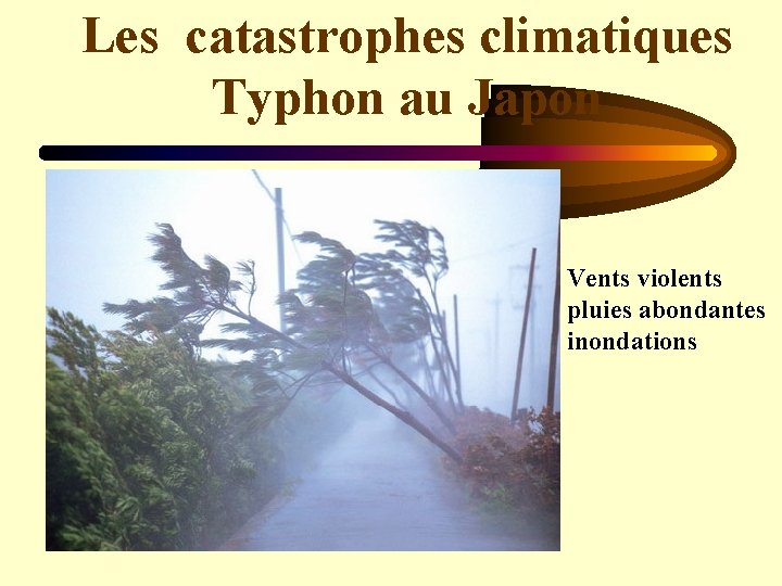 Les catastrophes climatiques Typhon au Japon Vents violents pluies abondantes inondations 