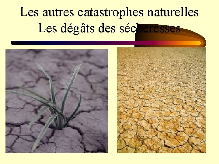 Les autres catastrophes naturelles Les dégâts des sécheresses 