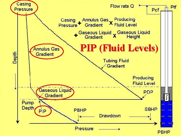 PIP (Fluid Levels) 