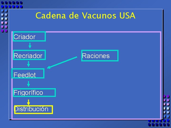 Cadena de Vacunos USA Criador Recriador Feedlot Frigorífico Distribución Raciones 