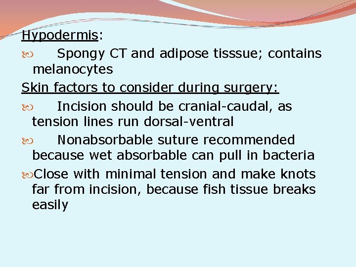 Hypodermis: Spongy CT and adipose tisssue; contains melanocytes Skin factors to consider during surgery: