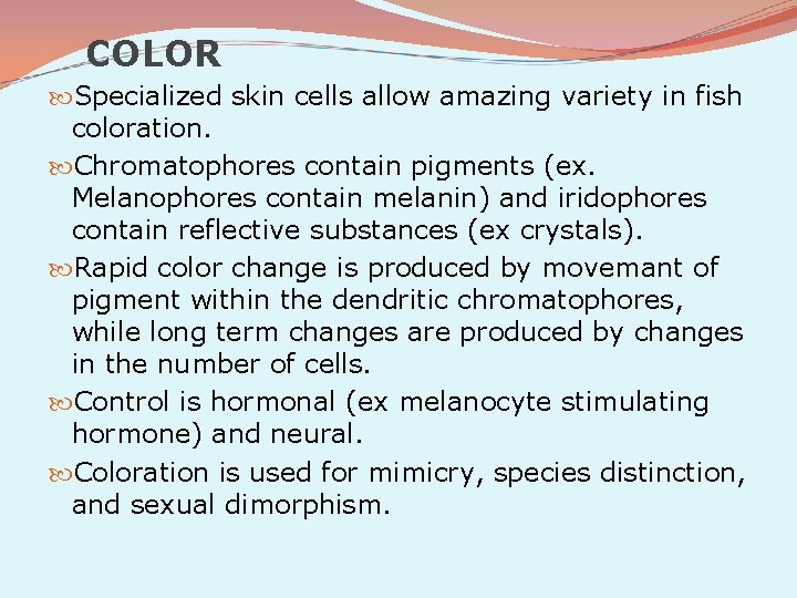 COLOR Specialized skin cells allow amazing variety in fish coloration. Chromatophores contain pigments (ex.