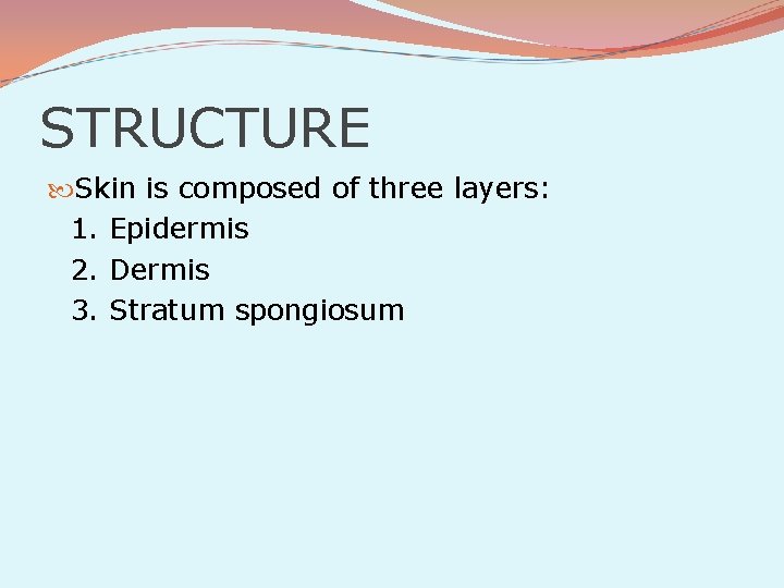 STRUCTURE Skin is composed of three layers: 1. Epidermis 2. Dermis 3. Stratum spongiosum