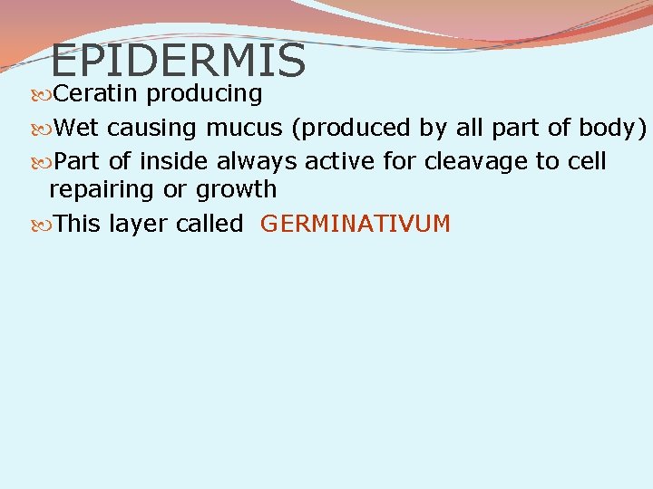 EPIDERMIS Ceratin producing Wet causing mucus (produced by all part of body) Part of