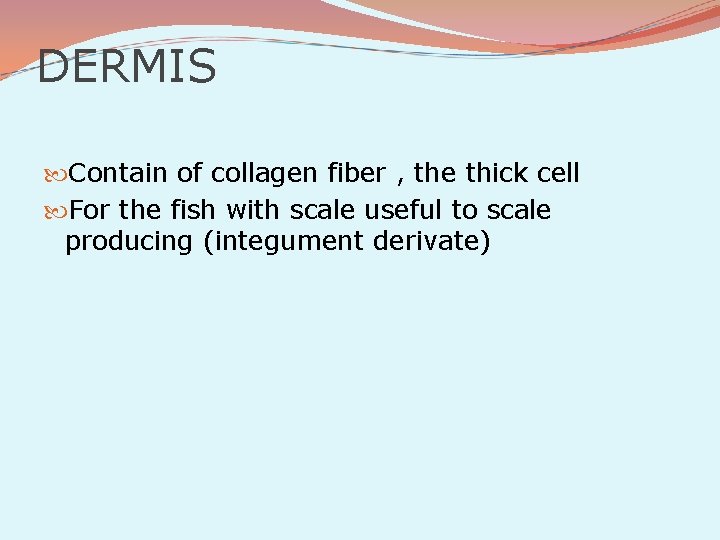 DERMIS Contain of collagen fiber , the thick cell For the fish with scale