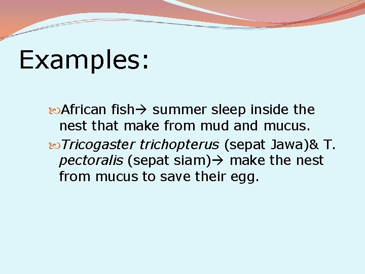 Examples: African fish summer sleep inside the nest that make from mud and mucus.