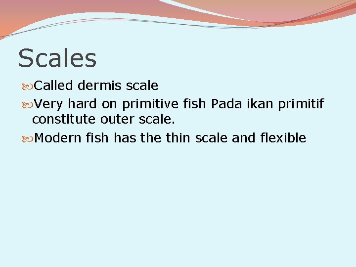 Scales Called dermis scale Very hard on primitive fish Pada ikan primitif constitute outer