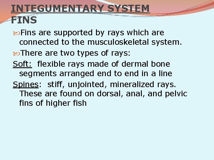 INTEGUMENTARY SYSTEM FINS Fins are supported by rays which are connected to the musculoskeletal