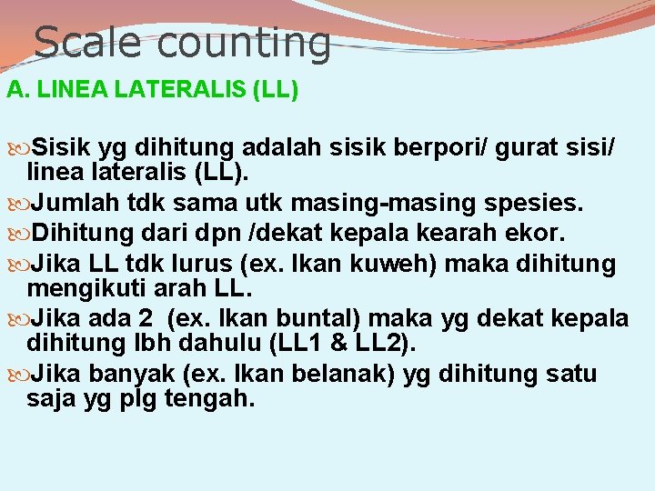 Scale counting A. LINEA LATERALIS (LL) Sisik yg dihitung adalah sisik berpori/ gurat sisi/