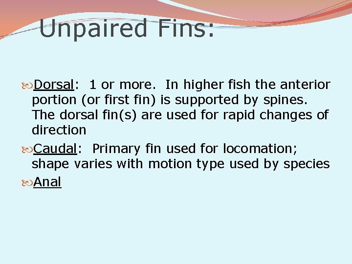 Unpaired Fins: Dorsal: 1 or more. In higher fish the anterior portion (or first