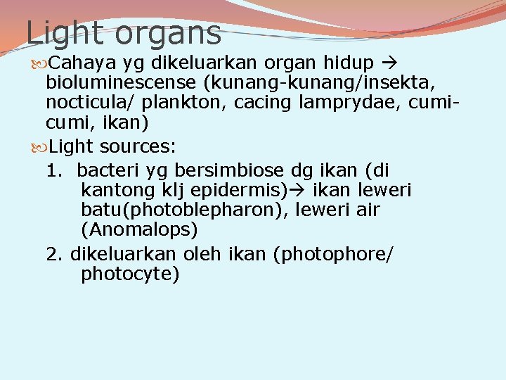 Light organs Cahaya yg dikeluarkan organ hidup bioluminescense (kunang-kunang/insekta, nocticula/ plankton, cacing lamprydae, cumi,