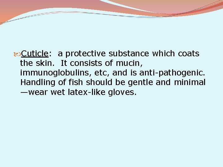  Cuticle: a protective substance which coats the skin. It consists of mucin, immunoglobulins,