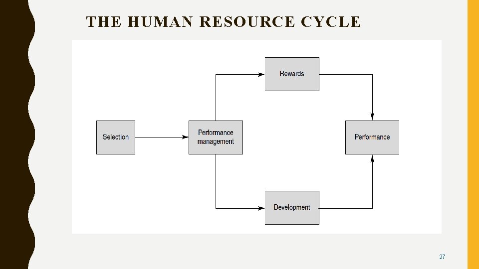 THE HUMAN RESOURCE CYCLE 27 