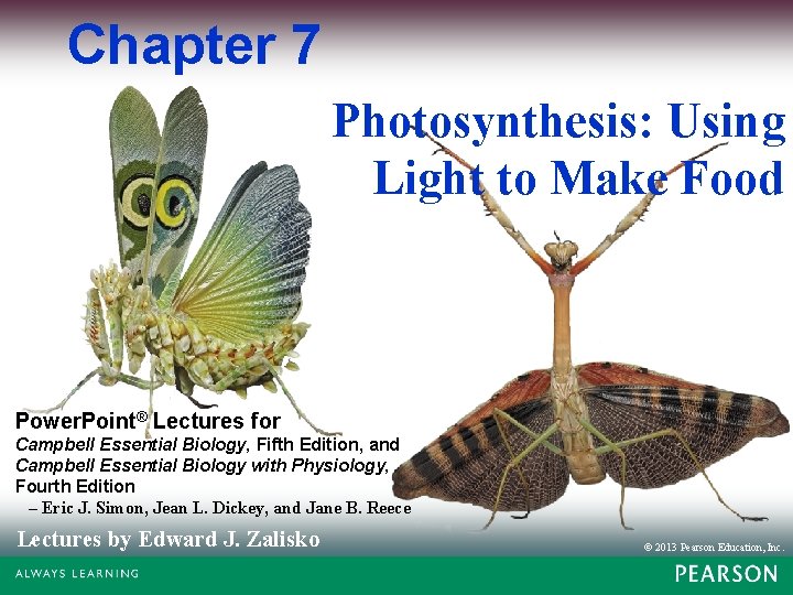 Chapter 7 Photosynthesis: Using Light to Make Food Power. Point® Lectures for Campbell Essential