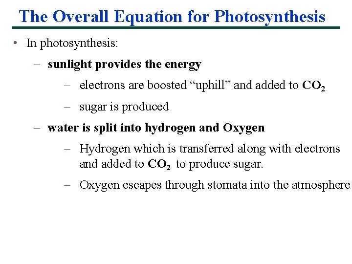 The Overall Equation for Photosynthesis • In photosynthesis: – sunlight provides the energy –