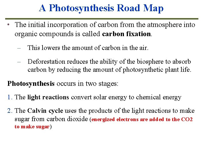A Photosynthesis Road Map • The initial incorporation of carbon from the atmosphere into