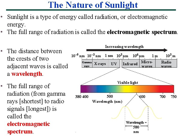 The Nature of Sunlight • Sunlight is a type of energy called radiation, or