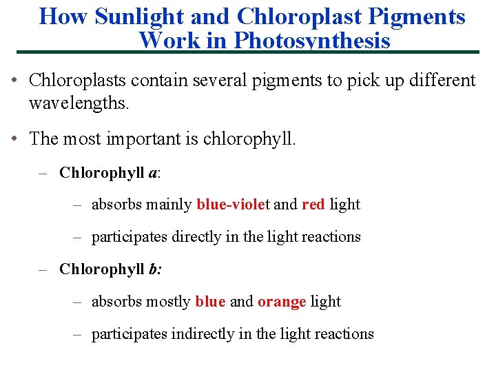 How Sunlight and Chloroplast Pigments Work in Photosynthesis • Chloroplasts contain several pigments to
