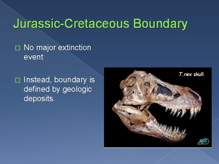 Jurassic-Cretaceous Boundary � No major extinction event � Instead, boundary is defined by geologic