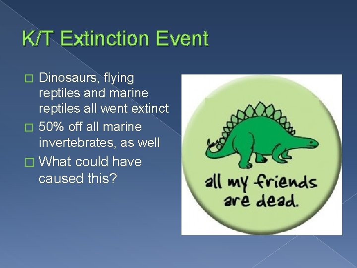 K/T Extinction Event Dinosaurs, flying reptiles and marine reptiles all went extinct � 50%