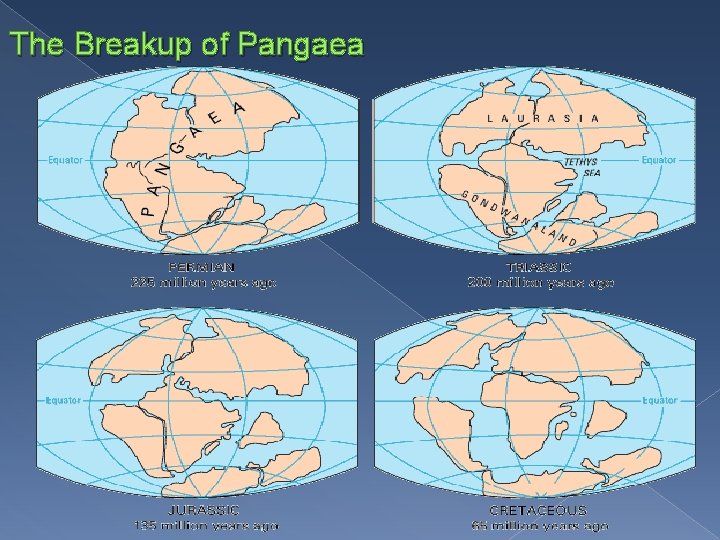 The Breakup of Pangaea 