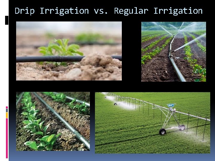 Drip Irrigation vs. Regular Irrigation 