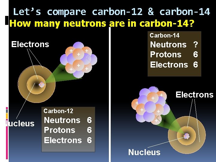 Let’s compare carbon-12 & carbon-14 How many neutrons are in carbon-14? 8 n Carbon-14