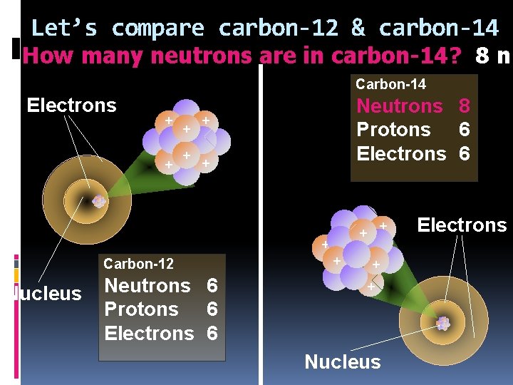 Let’s compare carbon-12 & carbon-14 How many neutrons are in carbon-14? 8 n Carbon-14