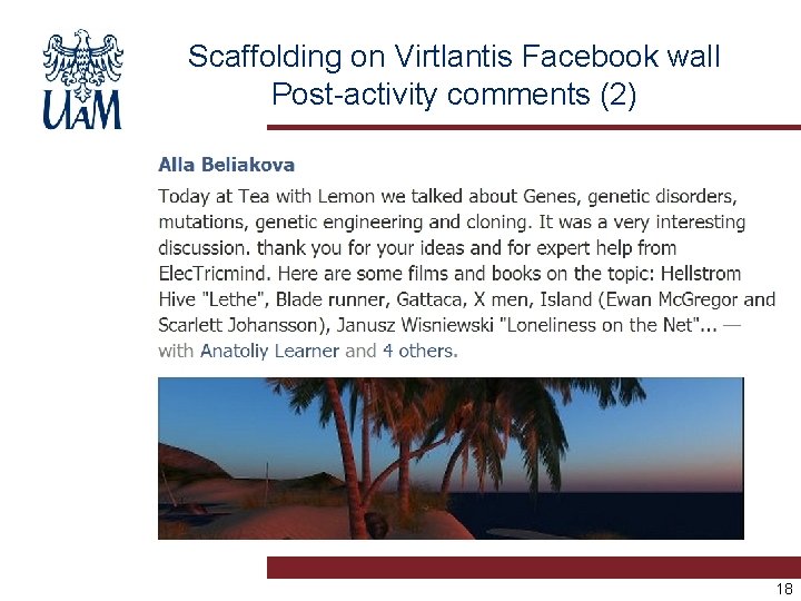 Scaffolding on Virtlantis Facebook wall Post-activity comments (2) 18 