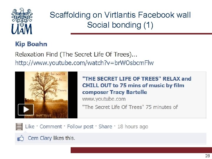 Scaffolding on Virtlantis Facebook wall Social bonding (1) 28 