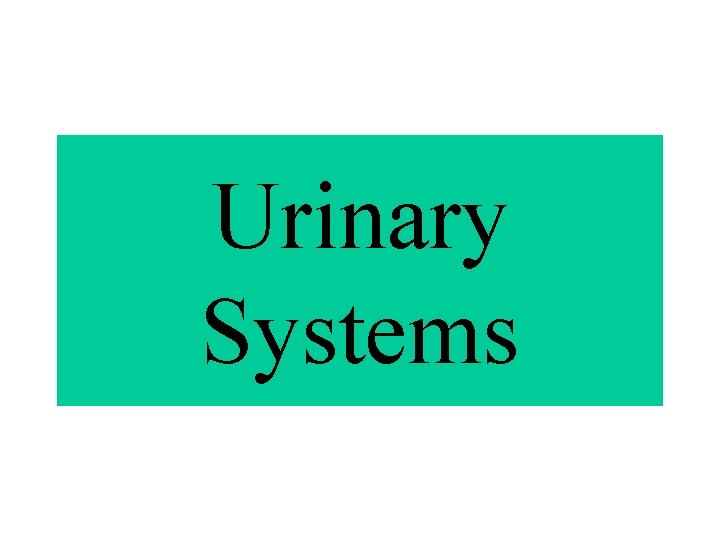 Urinary Systems 