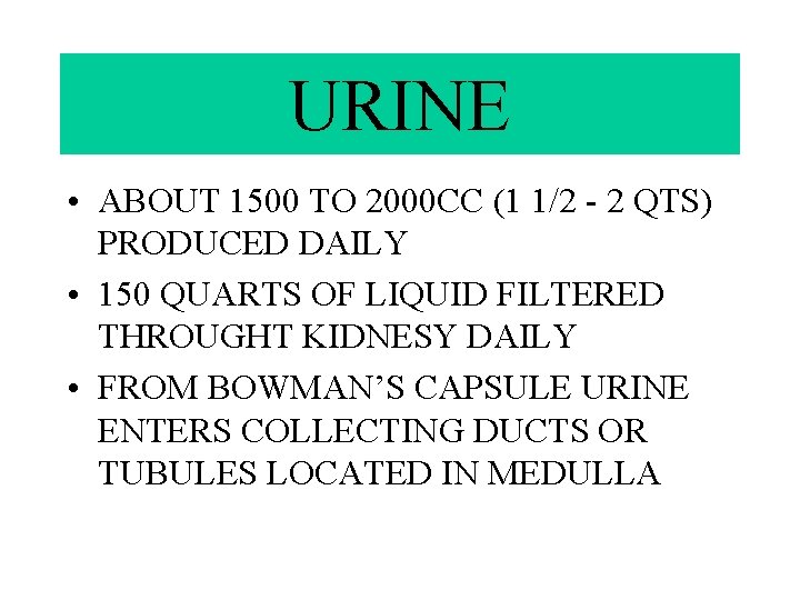 URINE • ABOUT 1500 TO 2000 CC (1 1/2 - 2 QTS) PRODUCED DAILY