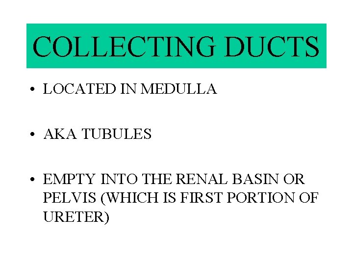 COLLECTING DUCTS • LOCATED IN MEDULLA • AKA TUBULES • EMPTY INTO THE RENAL
