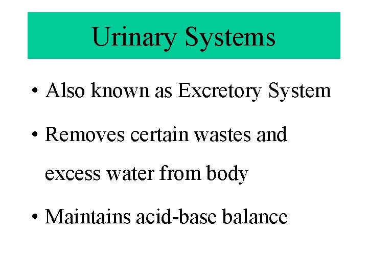 Urinary Systems • Also known as Excretory System • Removes certain wastes and excess