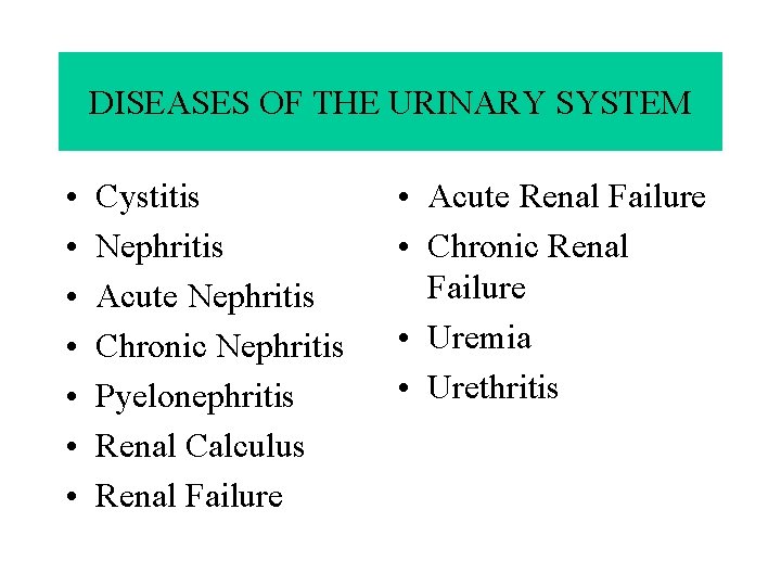 DISEASES OF THE URINARY SYSTEM • • Cystitis Nephritis Acute Nephritis Chronic Nephritis Pyelonephritis