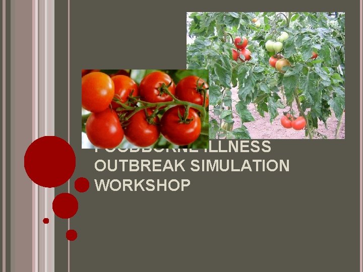 FOODBORNE ILLNESS OUTBREAK SIMULATION WORKSHOP 