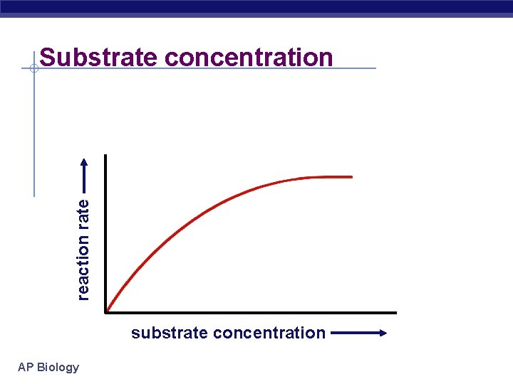 Rate Function Substrate Metabolism Enzymes AP Biology From food webs to