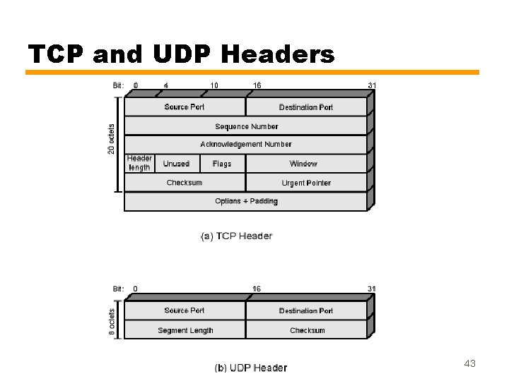 TCP and UDP Headers 43 