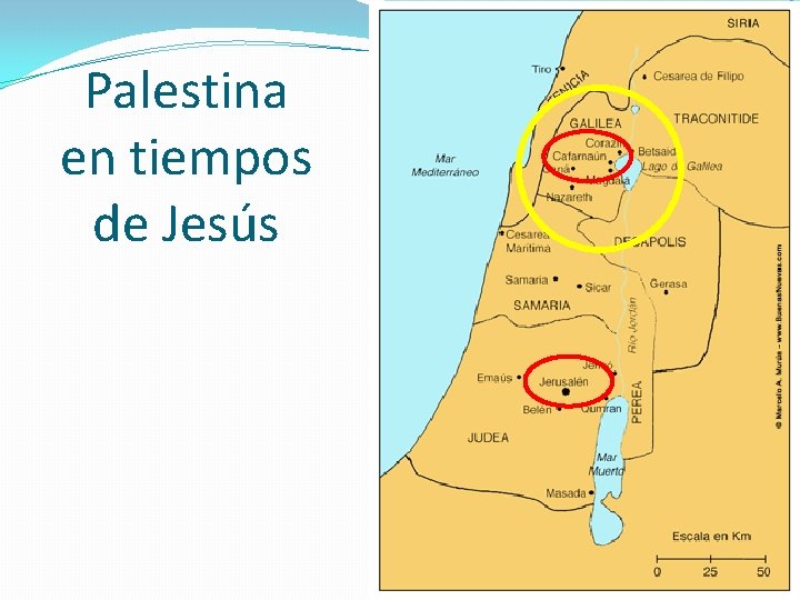 Palestina en tiempos de Jesús 